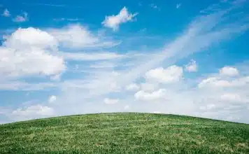 landscape of grass field under blue sky