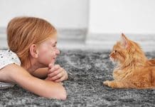 Les bienfaits d’avoir un chat pour les enfants