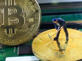 Quelle crypto miner en 2018 ?