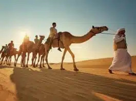 Quelles activités pratiquer lors d’un voyage à Oman ? Quelles activités pratiquer lors d’un voyage à Oman