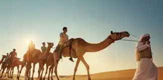 Quelles activités pratiquer lors d’un voyage à Oman
