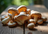 Champignons grey chanterelle sur table en bois claire