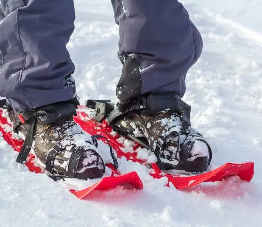 Quelles chaussures avec des raquettes ?