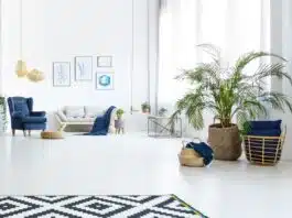 projet de décoration intérieure