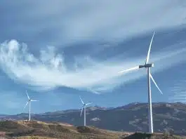 Vecteur Energie : Le pionnier de l’indépendance énergétique