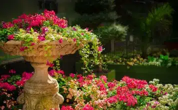 Combien coûte un jardinier paysagiste ?