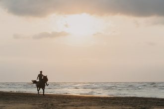 Immersion au cœur des traditions camarguaises : entre taureaux, gardians et fête des saintes-maries-de-la-mer